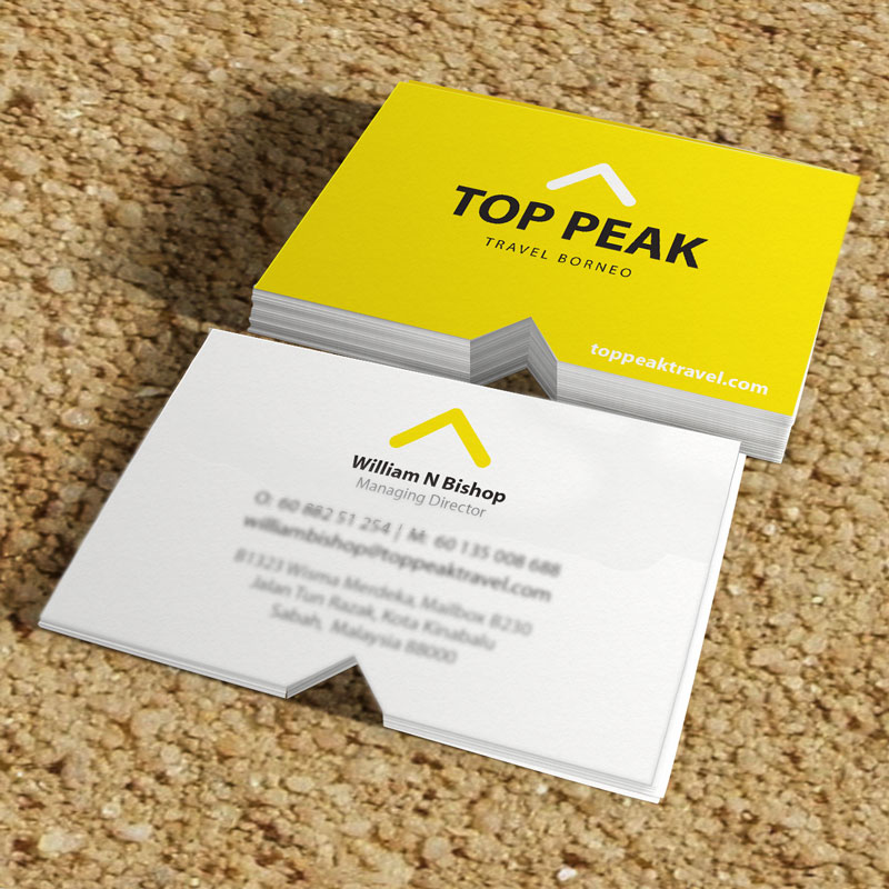 top-peak-project-th